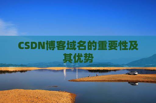 CSDN博客域名的重要性及其优势